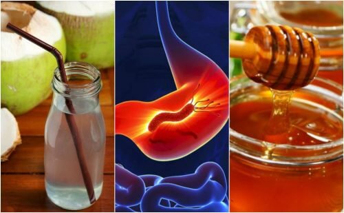 Como combater a gastrite com 7 remédios naturais