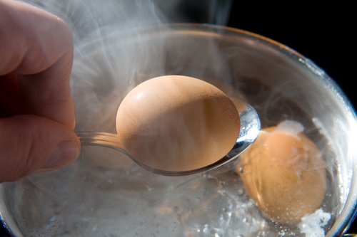 Como saber se os ovos estão estragados?