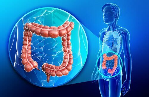 O que é a doença de Crohn? O que é a doença de Crohn?