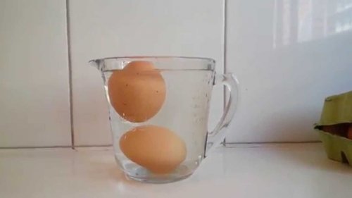 ovos na água