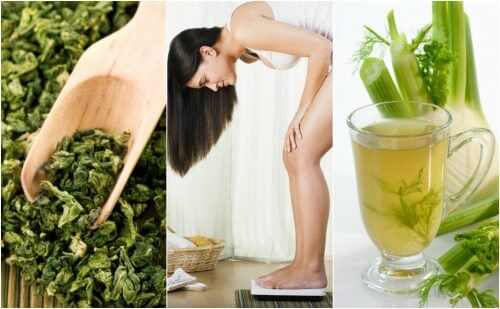 Perca peso com facilidade usando estas 5 plantas medicinais Perca peso com facilidade usando estas 5 plantas medicinais