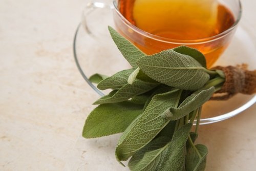 Chá de sálvia para tratar a faringite naturalmente