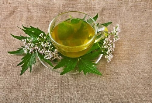 5 ervas medicinais para tratar a depressão