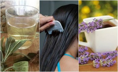 5 remédios à base de ervas para combater piolhos e lêndeas naturalmente