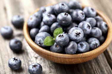 Como cultivar mirtilos em casa e como usá-los