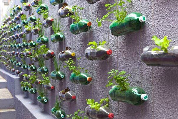 Jardim vertical para reaproveitar garrafas plásticas