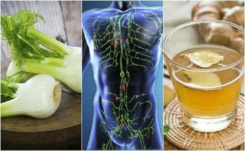 6 infusões que ajudam a limpar o sistema linfático