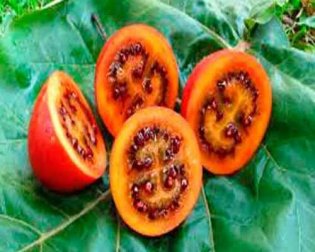 4 frutas e verduras estranhas que você com certeza não conhece