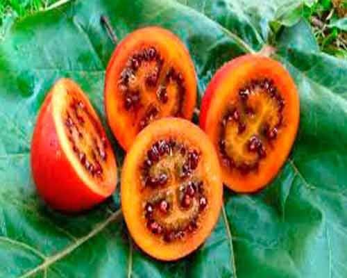 4 frutas e verduras estranhas que você com certeza não conhece