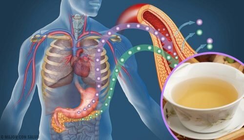 4 infusões para reduzir o açúcar no sangue
