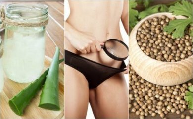 5 remédios caseiros que ajudam a controlar o fluxo vaginal excessivo