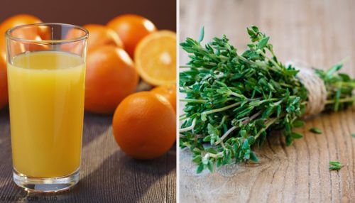 6 antibióticos naturais que você provavelmente não conhecia 6 antibióticos naturais que você provavelmente não conhecia