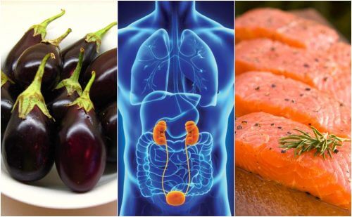 7 alimentos para manter os rins saudáveis