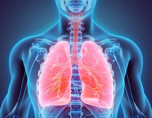 Como parar de fumar e desintoxicar os pulmões?