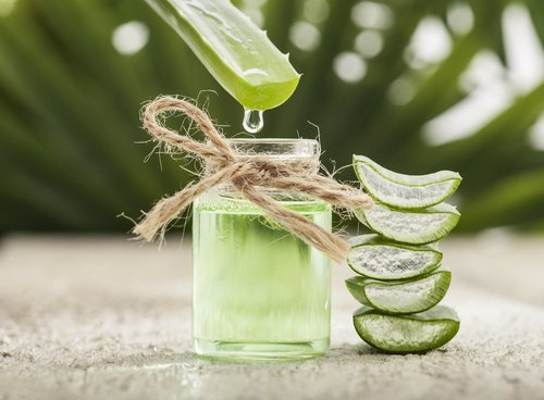 Aloe vera ajuda a tratar queimaduras solares
