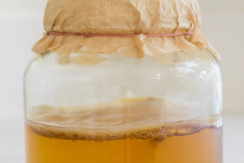 Preparando kombucha