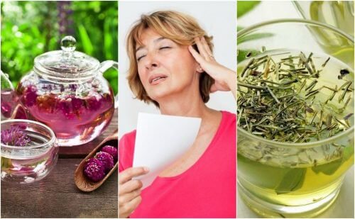 Reduza os sufocos da menopausa com 6 remédios naturais