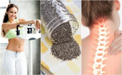 10 benefícios das sementes de chia