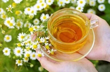 6 propriedades medicinais da camomila