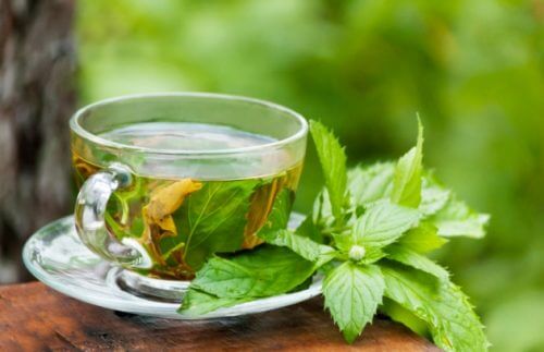 Xícara de chá verde para tratar a prisão de ventre
