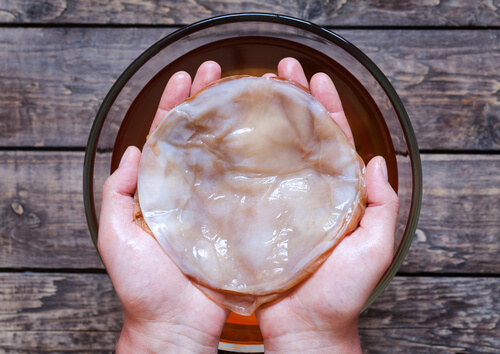 Como preparar kombucha?