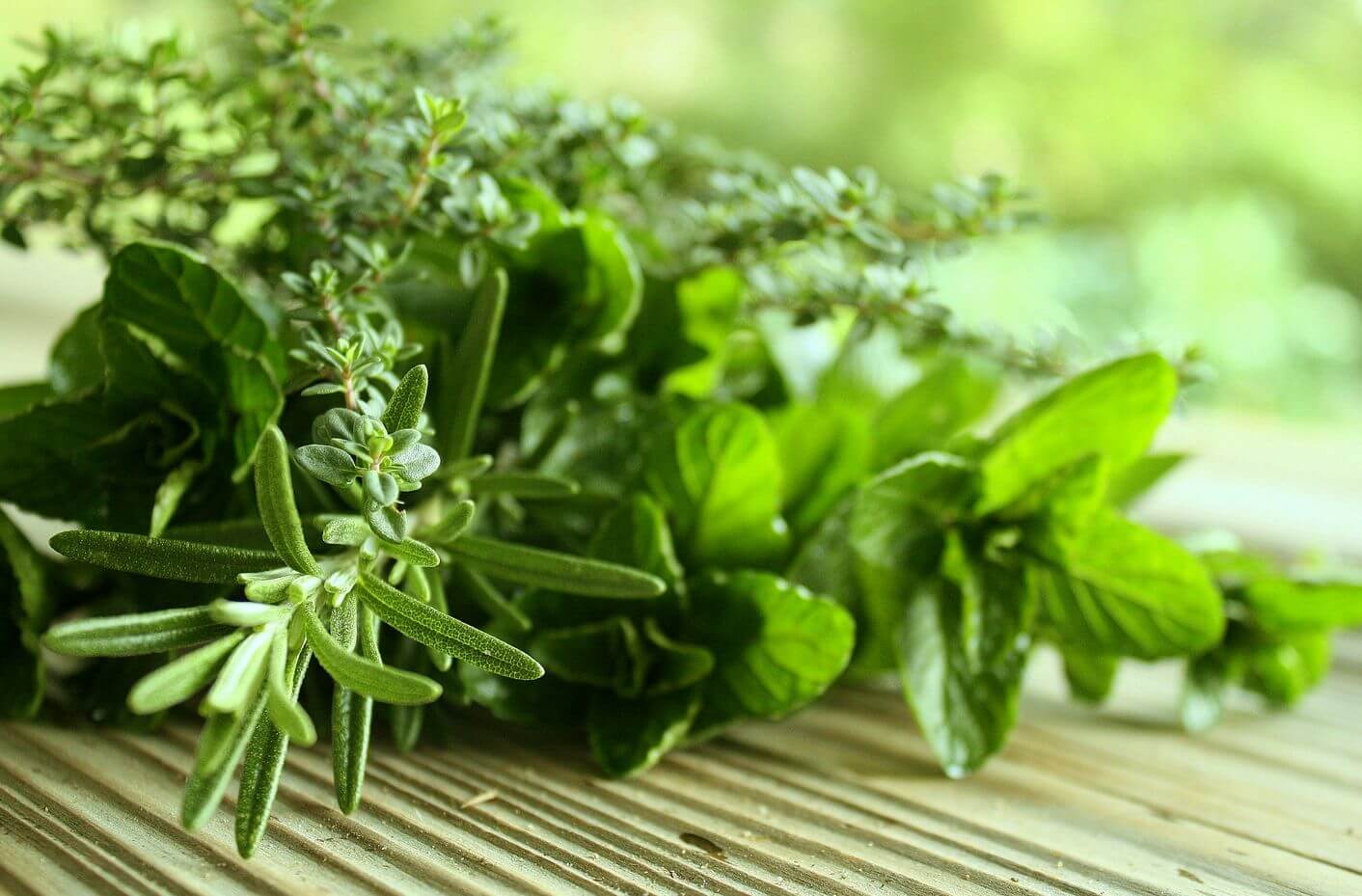 Ervas para combater o mau hálito
