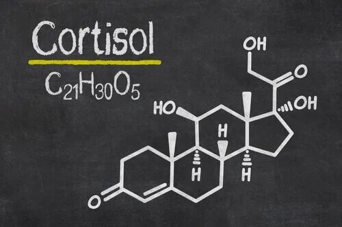 6 sinais de cortisol alto em seu organismo