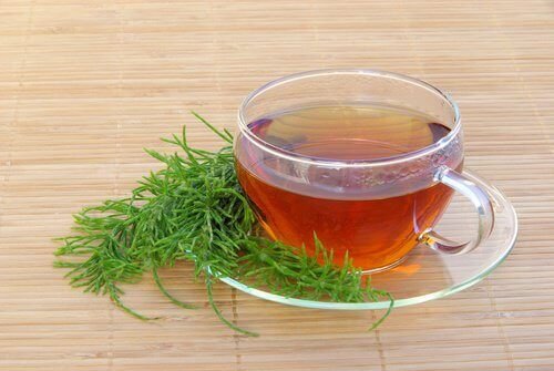 Infusão de cavalinha para combater as varizes