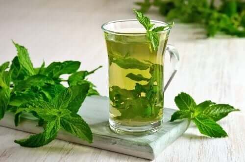 A menta é uma das plantas mais utilizadas para reduzir os incômodos digestivos
