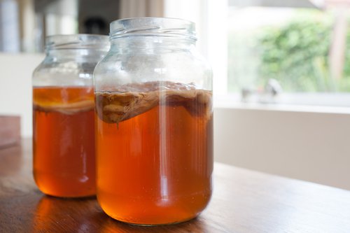 Processo para preparar kombucha em casa