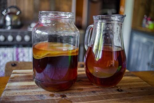 Kombucha: o que é, para que serve e como preparar