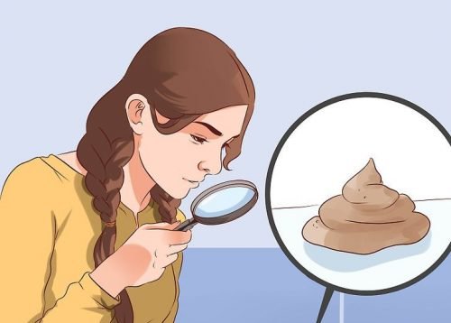 O que a cor e a forma das fezes falam sobre sua saúde