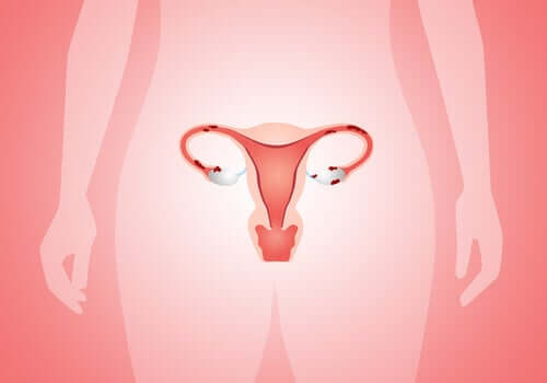 Muitas pessoas acreditam que a metrorragia é causada por uma irregularidade menstrual, mas este nem sempre é o caso