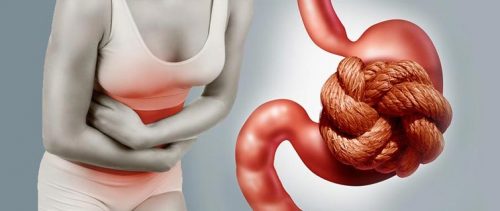 9 frutas ideais para combater a constipação