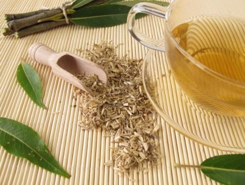 Infusão de salgueiro para reduzir a dor da artrite