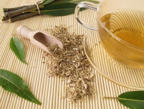 Chá de salgueiro para melhorar a circulação