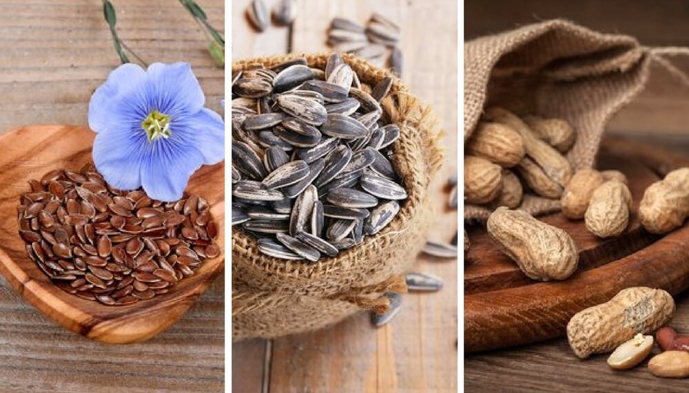 5 sementes comestíveis e suas incríveis propriedades