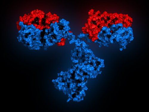Tratamento do lúpus eritematoso sistémico desde o DNA