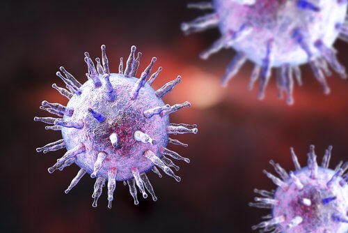 Vírus de Epstein Barr: causador da mononucleose infecciosa
