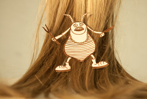 Piolho no cabelo