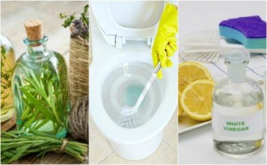 5 soluções ecológicas para desinfetar o banheiro