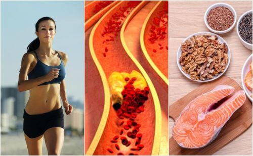 6 hábitos que ajudam a controlar o colesterol de forma natural 6 hábitos que ajudam a controlar o colesterol de forma natural