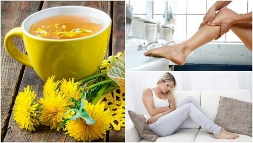 7 benefícios do dente-de-leão que você provavelmente não conhecia