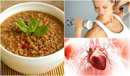 8 benefícios das lentilhas para a saúde 8 benefícios das lentilhas para a saúde
