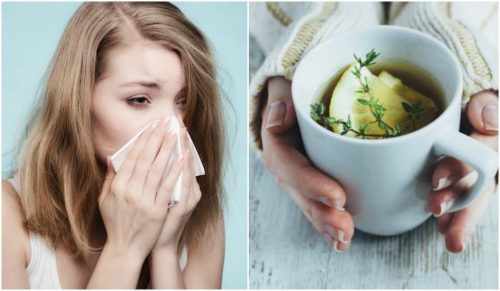 Alivie a tosse e o resfriado com uma infusão de tomilho, limão e mel Alivie a tosse e o resfriado com uma infusão de tomilho, limão e mel