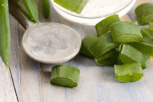 Aloe vera contra a foliculite