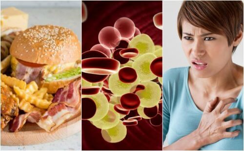 O colesterol alto: por que é um perigo para a saúde e como reduzir seus níveis