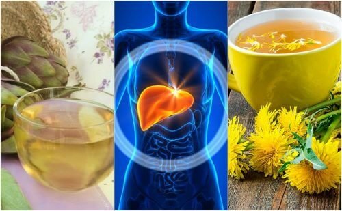 5 ervas para combater o fígado gorduroso naturalmente