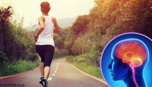 Quando deixamos de praticar exercícios nosso cérebro muda Quando deixamos de praticar exercícios nosso cérebro muda