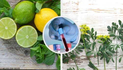 Descubra o carrulim, o remédio para limpar o sangue com arruda e limão Descubra o carrulim, o remédio para limpar o sangue com arruda e limão